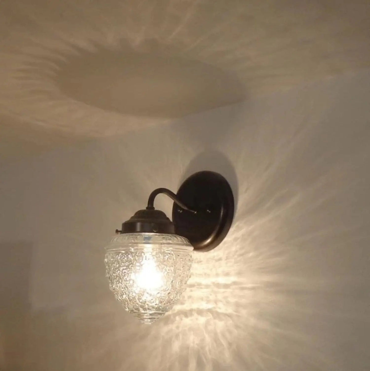  Acorn Glass Wall Sconce Light Fixture